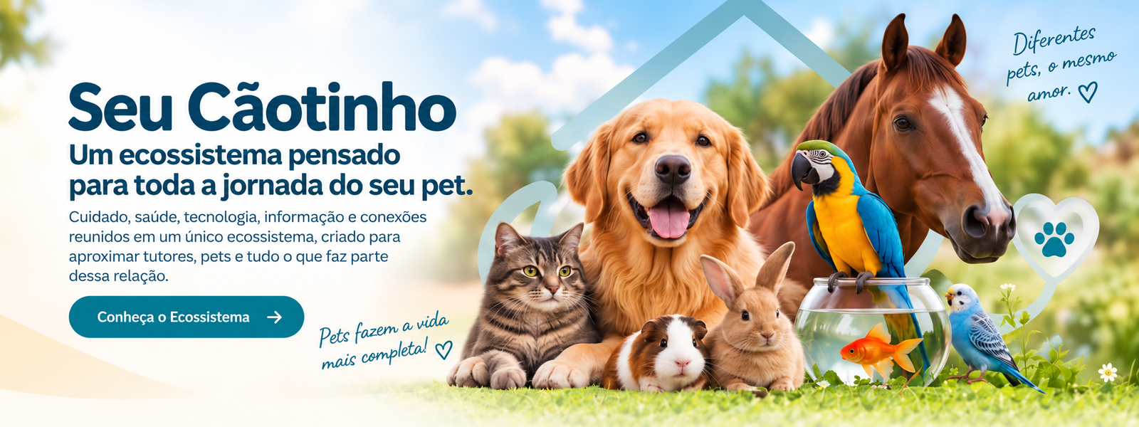 Seu Cãotinho: um ecossistema pensado para toda a jornada do seu pet, com diferentes espécies de animais
